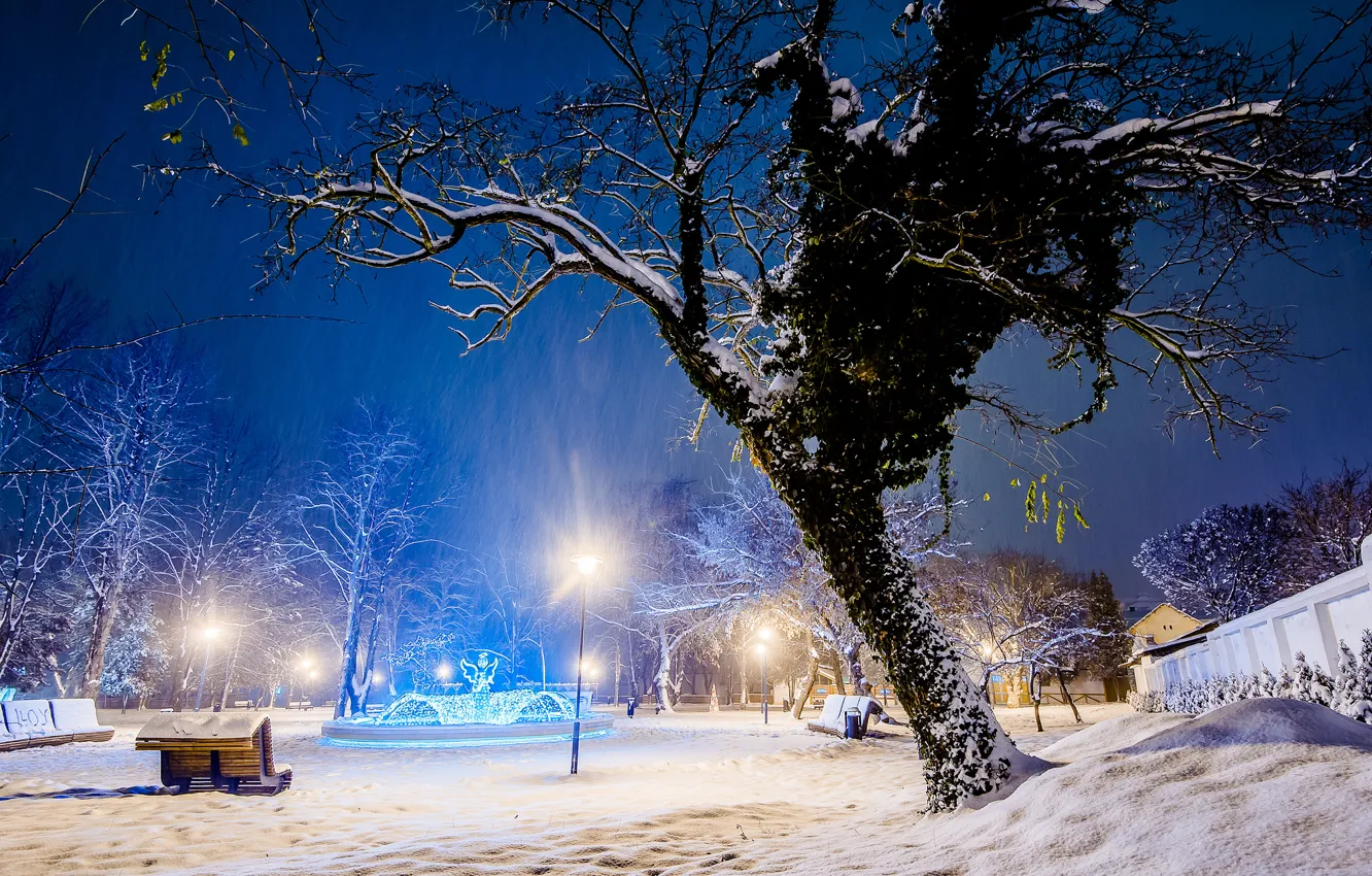Photo wallpaper winter, light, snow, trees, the city, Park, the evening, shop