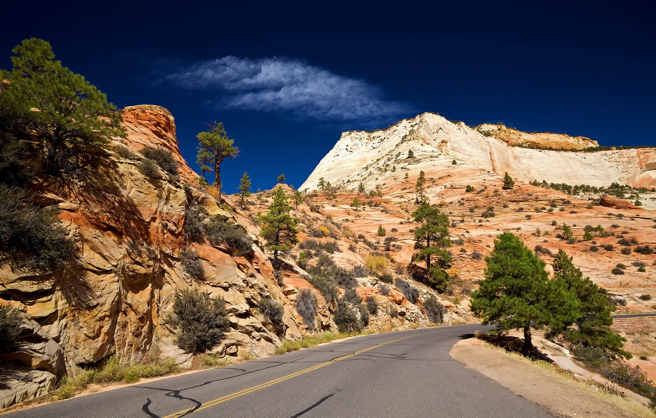 Photo wallpaper road, the sky, rocks, desert, Utah, Zion National Park
