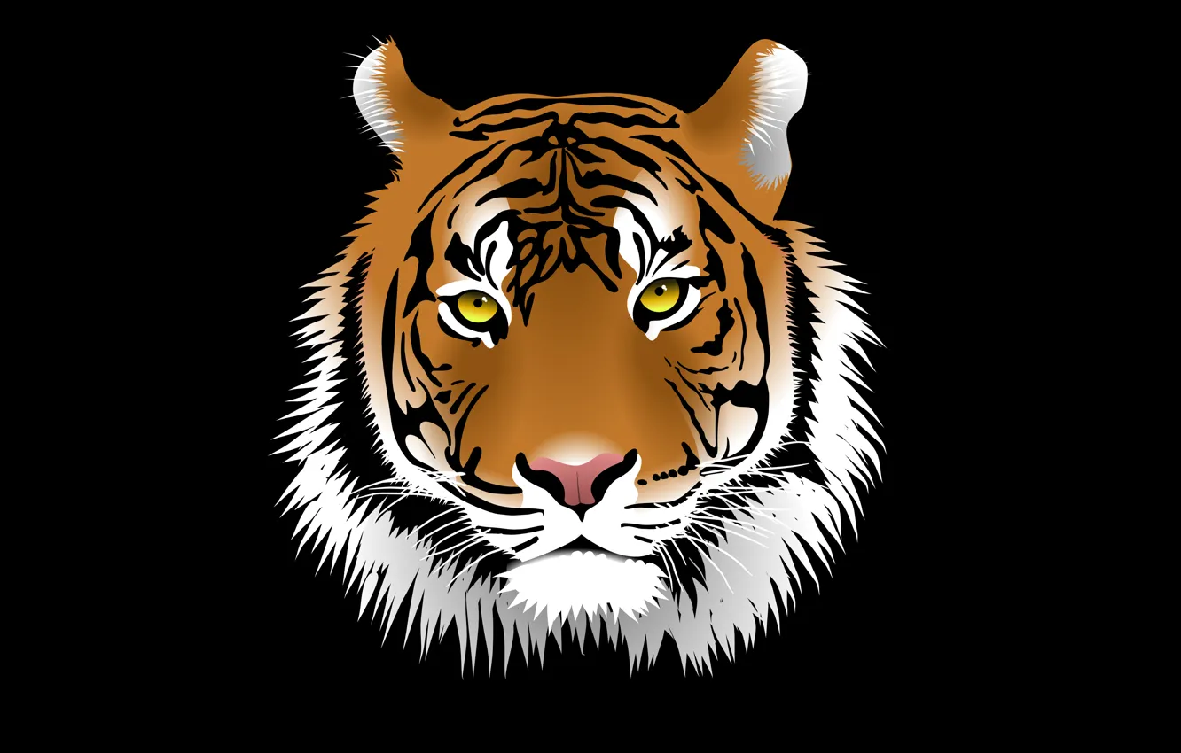 Photo wallpaper face, tiger, the dark background, tiger