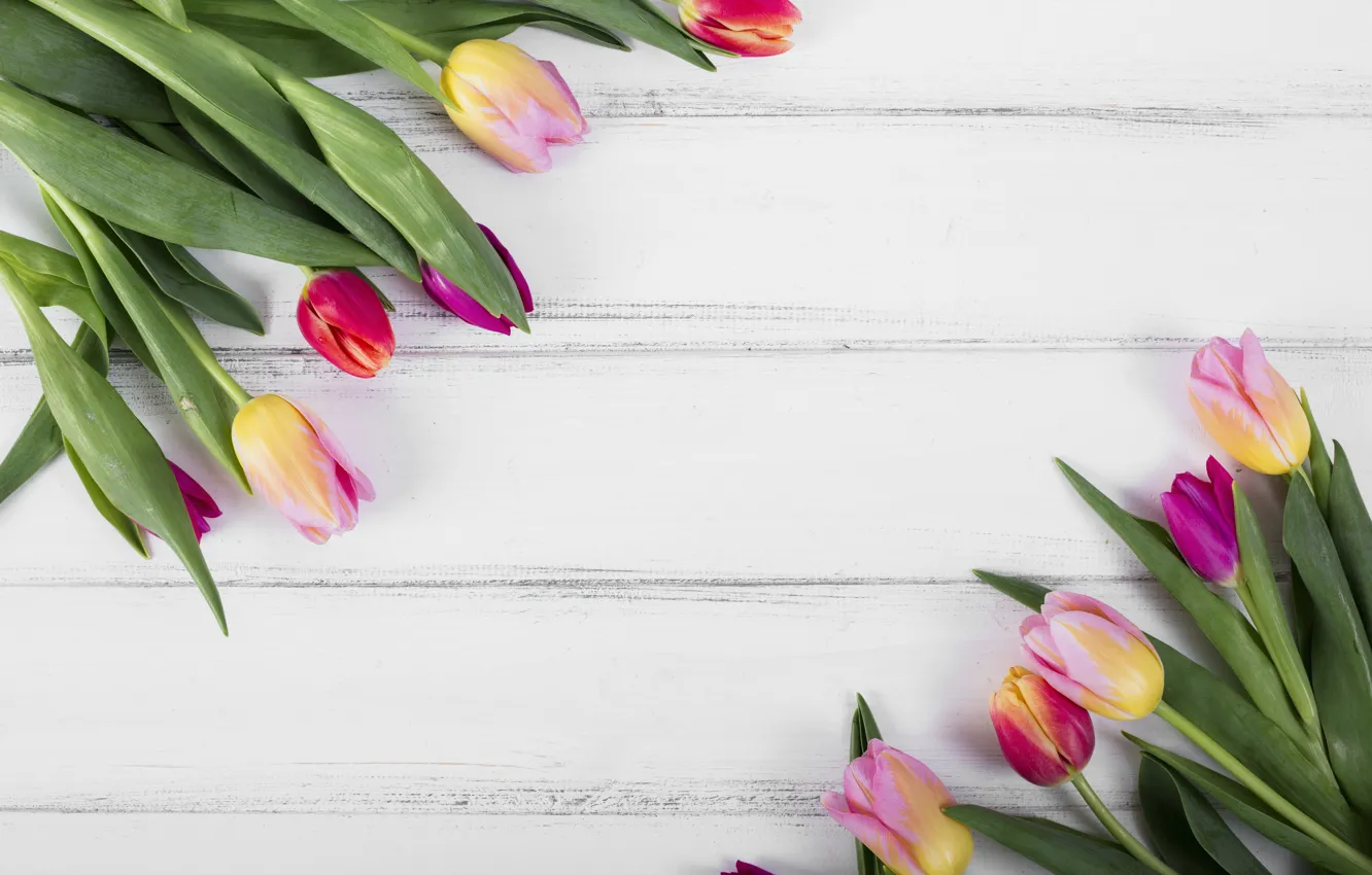 Photo wallpaper white, background, wood, tulip