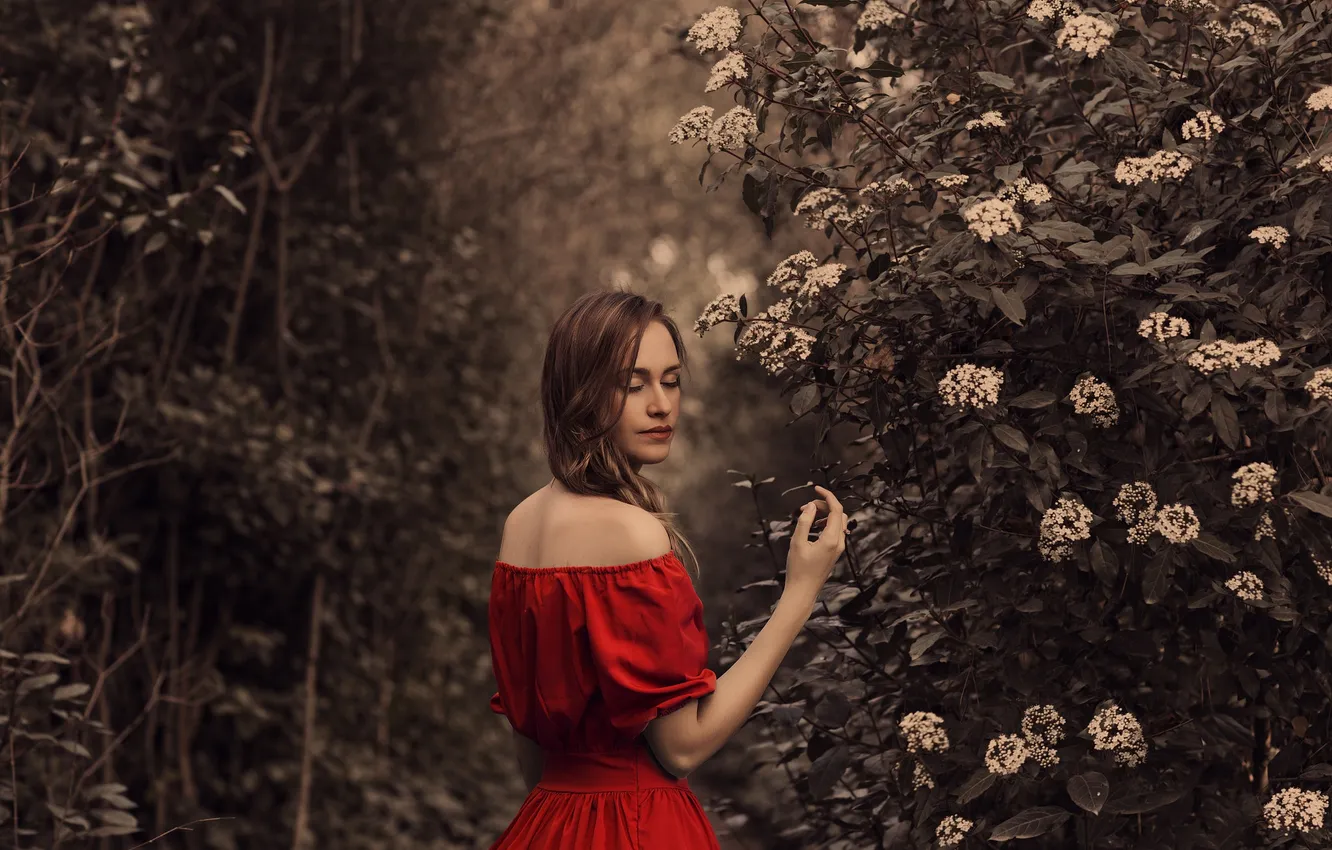 Photo wallpaper girl, face, background, dress