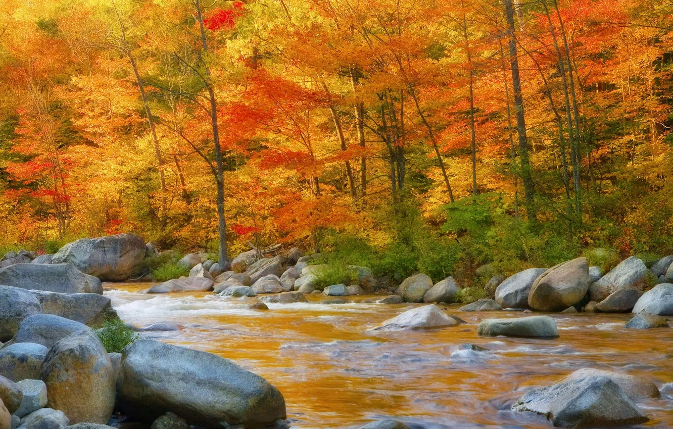 Photo wallpaper autumn, leaves, trees, mountains, river, stones, stream, slope