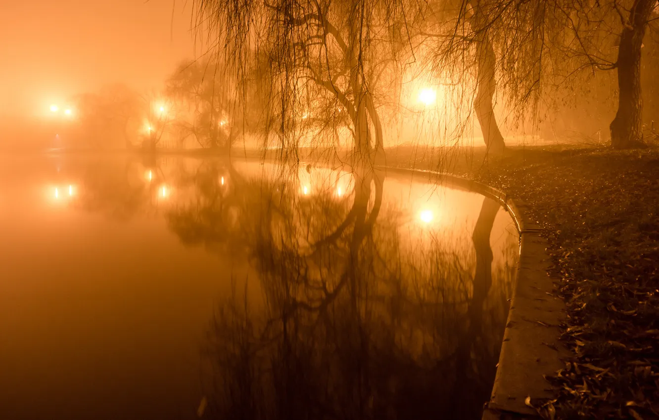 Photo wallpaper light, trees, lights, fog, pond, Park, the evening, lights