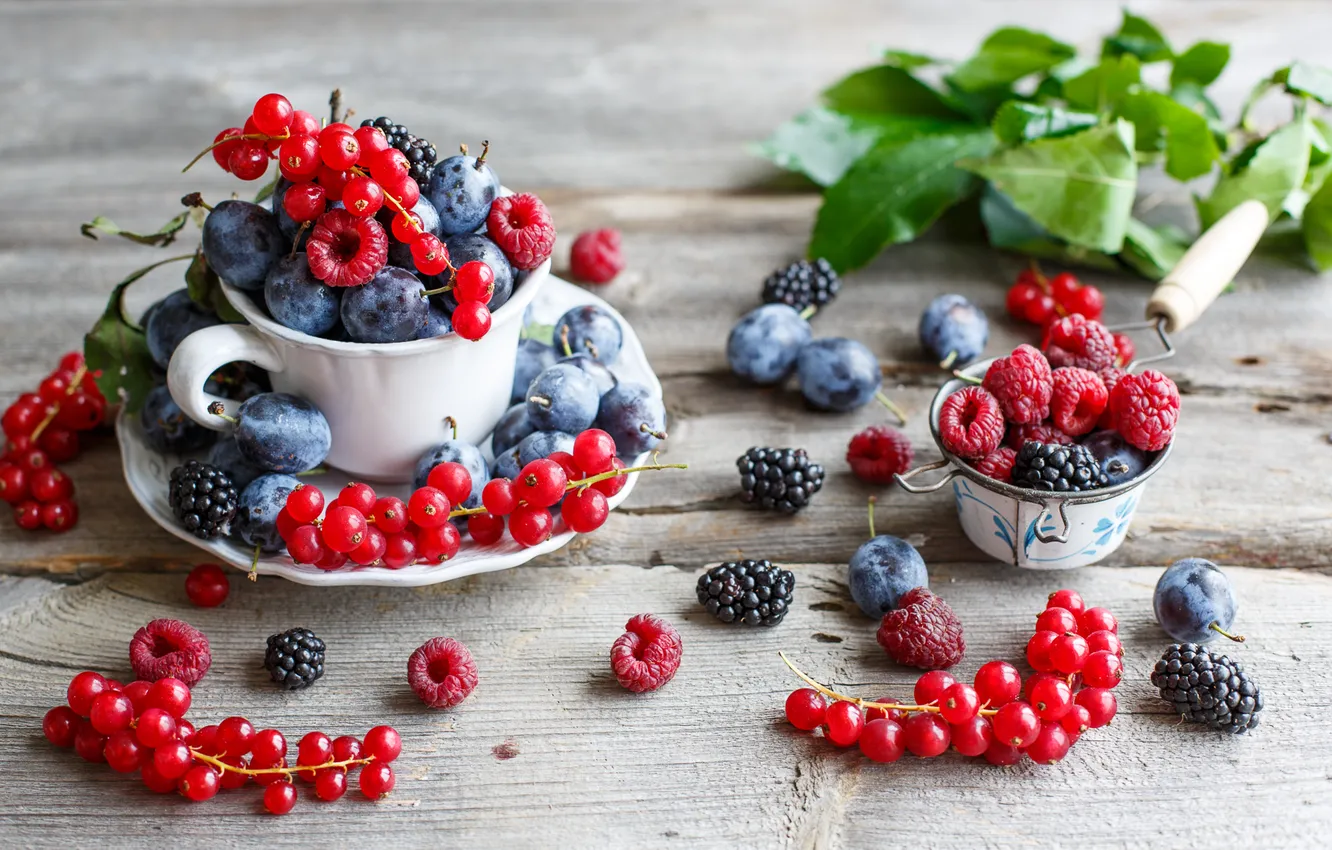 Photo wallpaper berries, raspberry, plum, BlackBerry, red currant