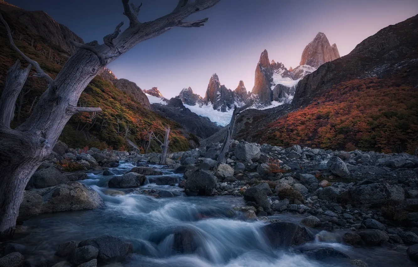Photo wallpaper trees, mountains, river