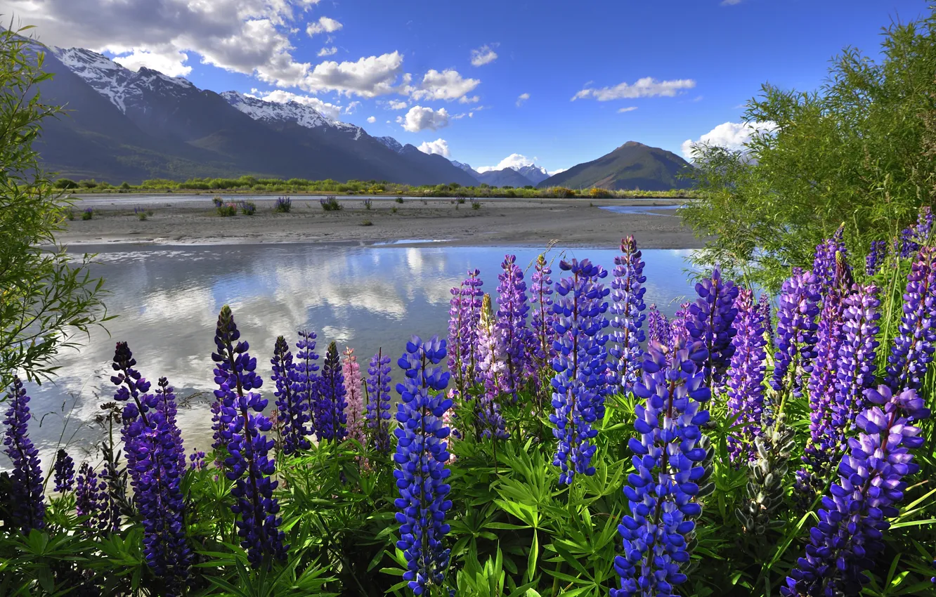Photo wallpaper clouds, mountains, lake, New Zealand, Lupin