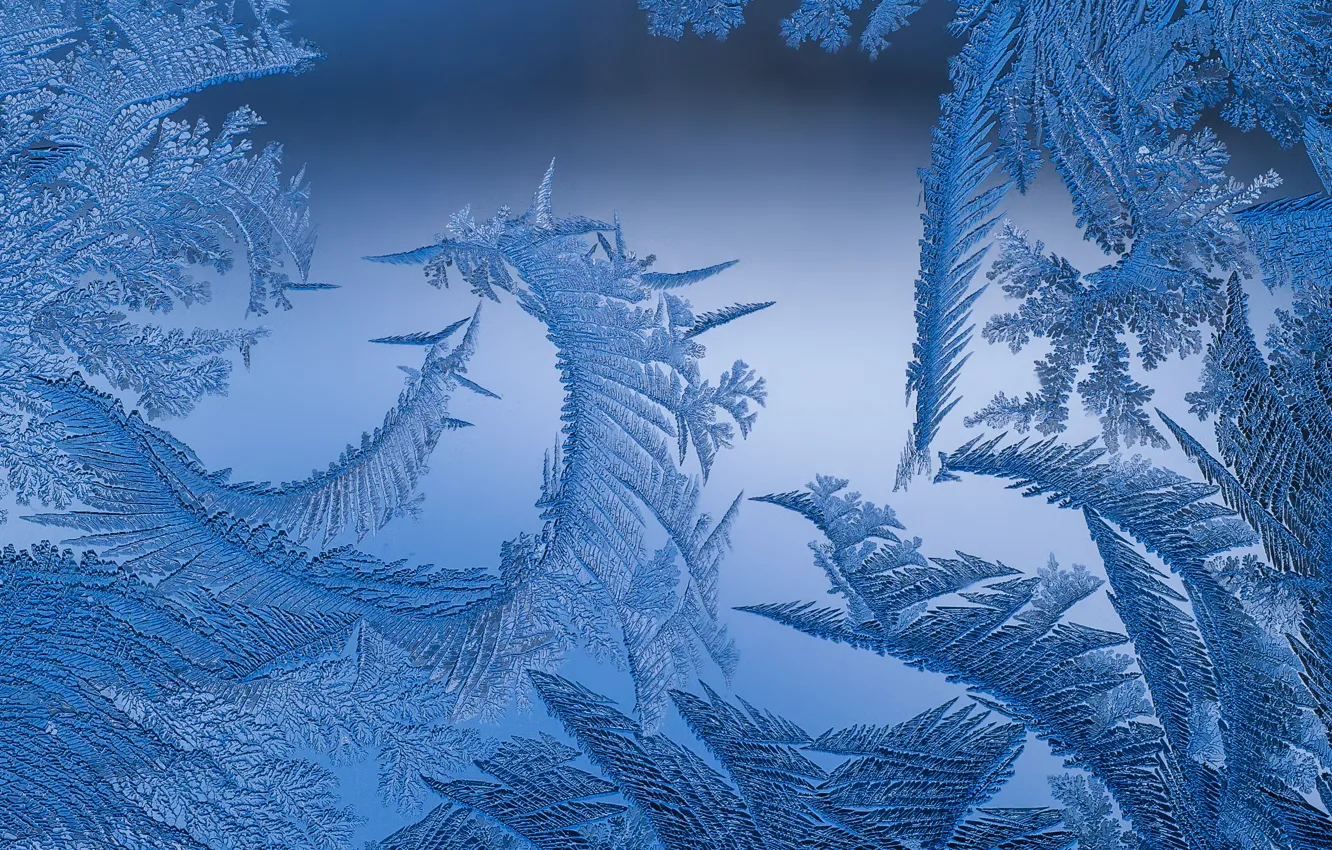 Photo wallpaper Winter, Window, Frost