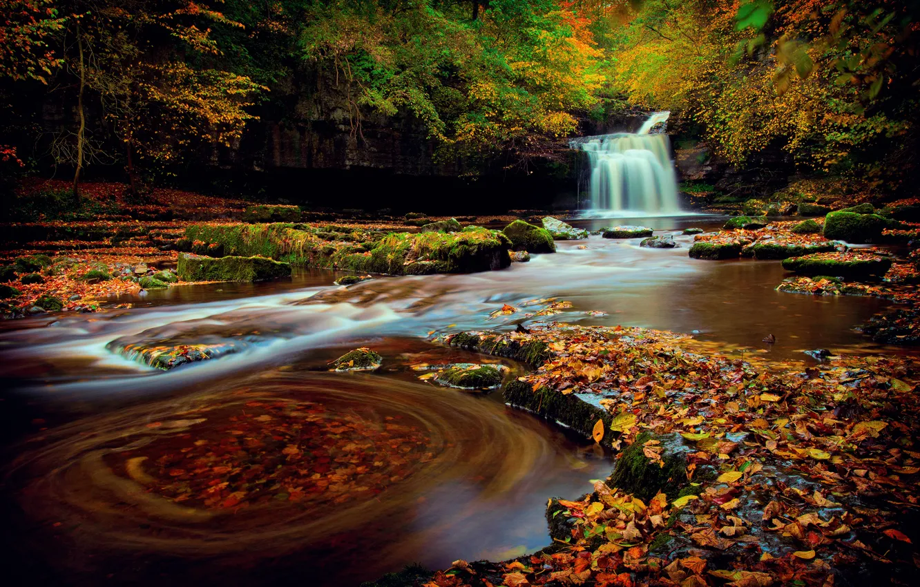 Photo wallpaper autumn, forest, foliage, waterfall, excerpt, Yorkshire, October, Northern England