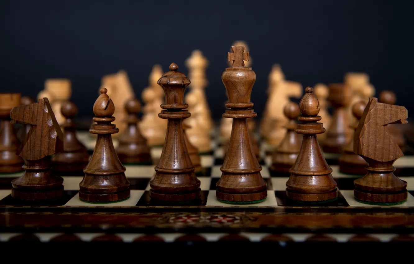 Photo wallpaper the dark background, horse, the game, chess, figure, wooden, Queen, chess Board