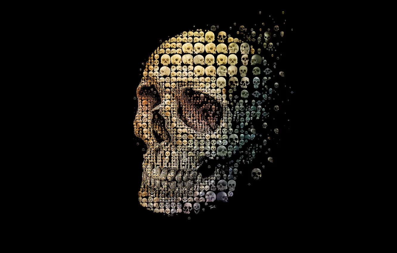 Photo wallpaper style, background, skull, sake