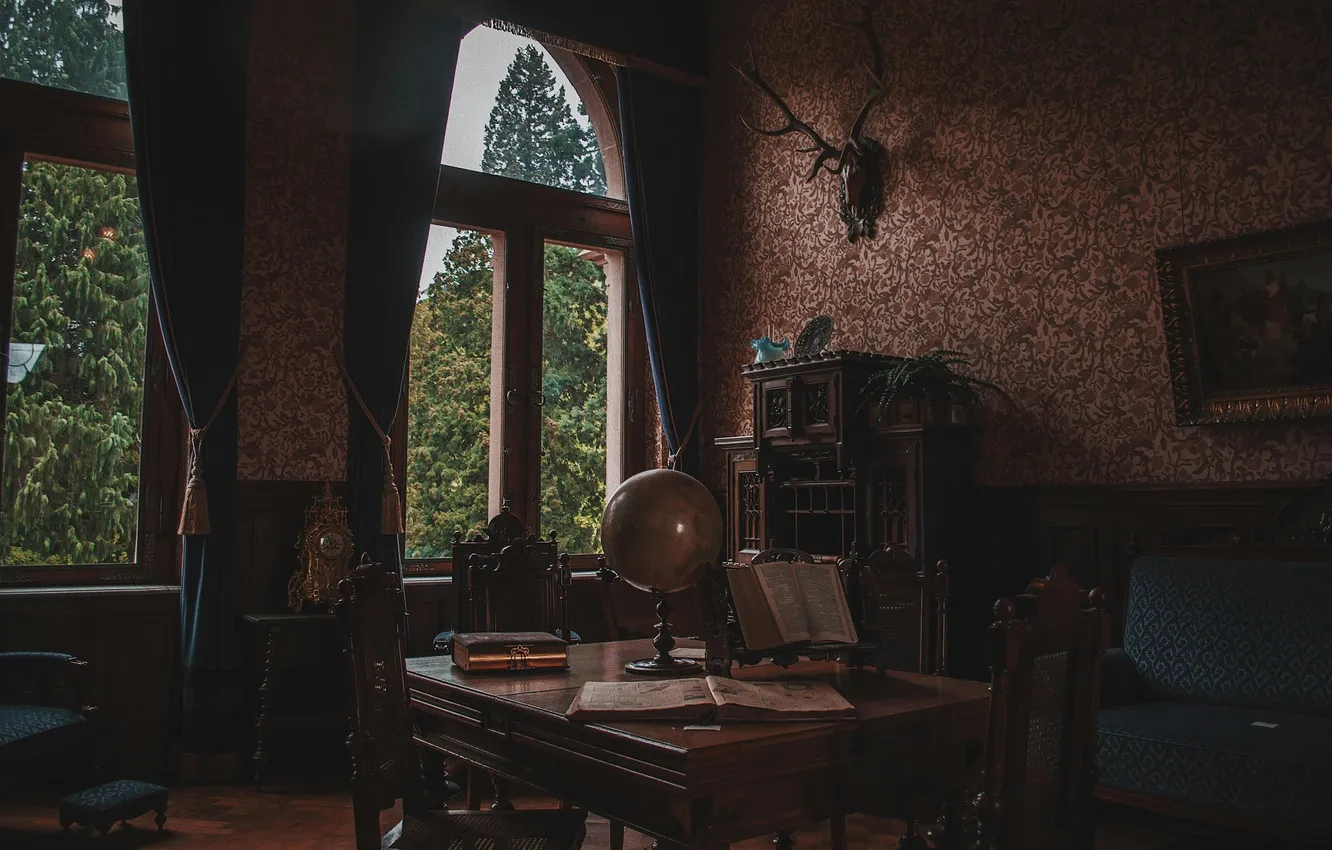 Photo wallpaper trees, chair, window, room, interior, architecture, table, books