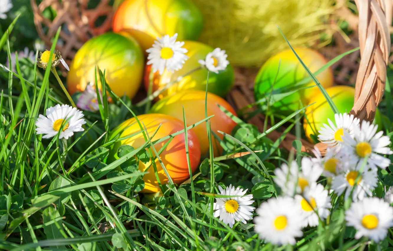 Photo wallpaper grass, eggs, spring, Easter, flowers, spring, Easter, eggs
