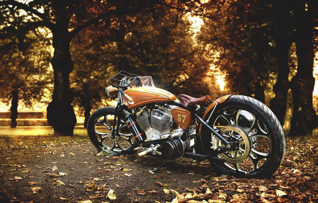 Photo wallpaper background, motorcycle, Harley