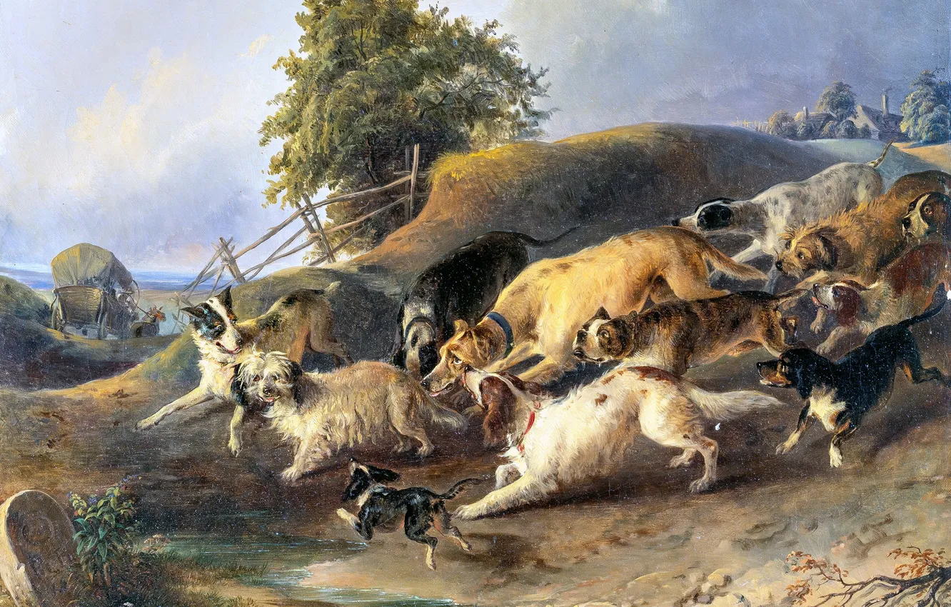 Photo wallpaper dog, picture, German artist, Johann Matthias Ranftl, Johann Matthias Ranftl, A desirable unknown canine lady …