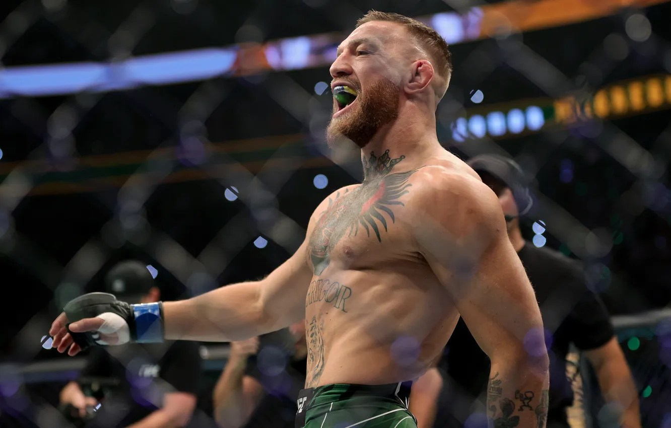 Photo wallpaper ufc, Conor McGregor, Conor McGregor