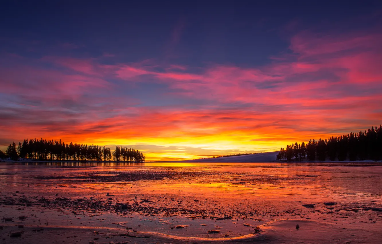 Photo wallpaper ice, lake, ice, lake, red sky, red sky, trees sunset, trees sunset