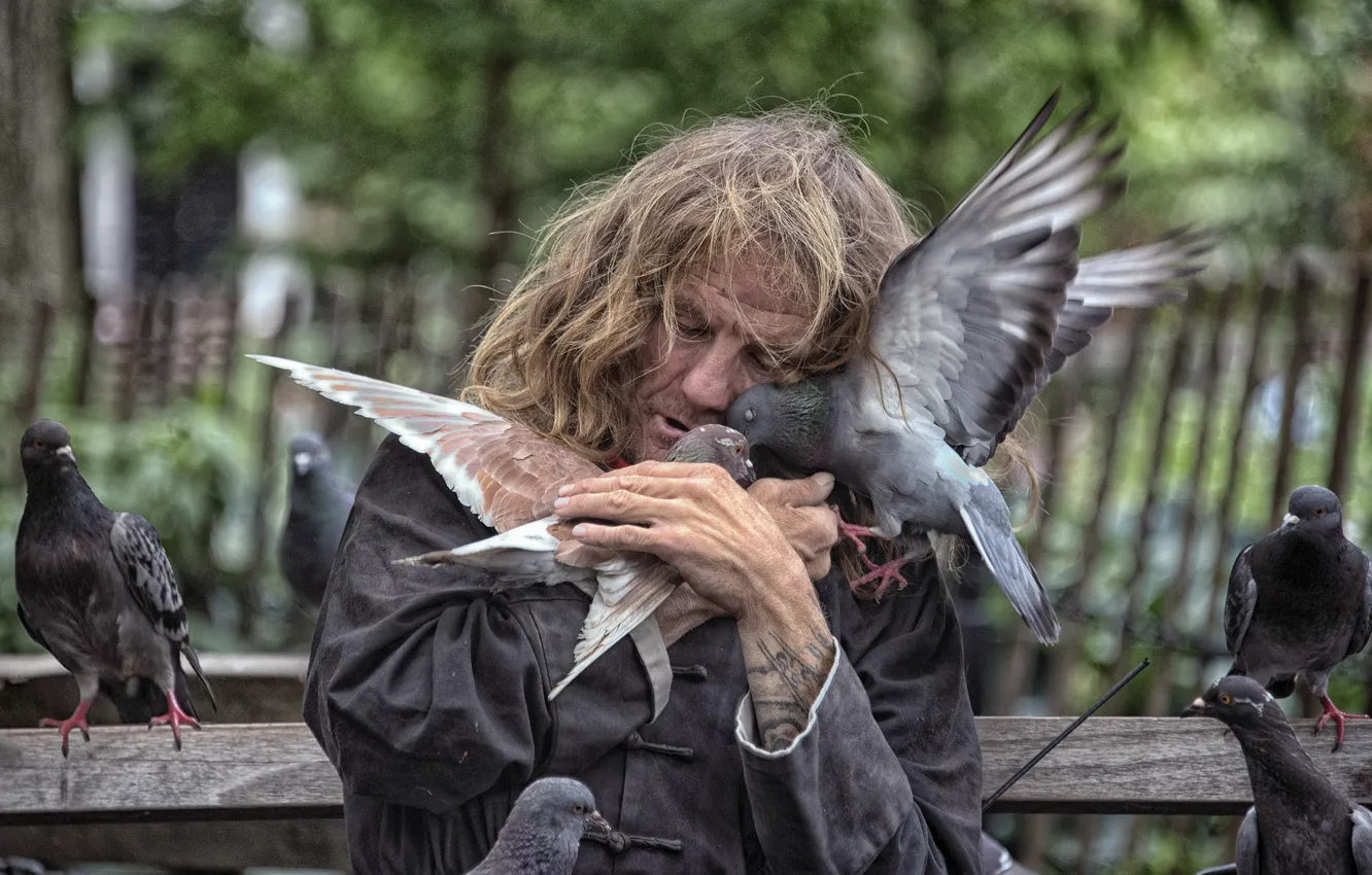 Photo wallpaper love, birds, New York, pigeons, New York City, homeless