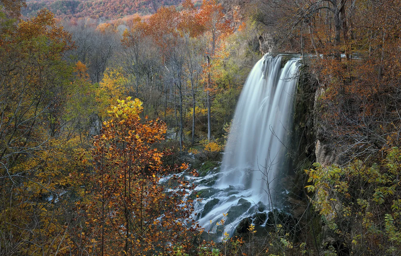 Photo wallpaper autumn, forest, waterfall, stream