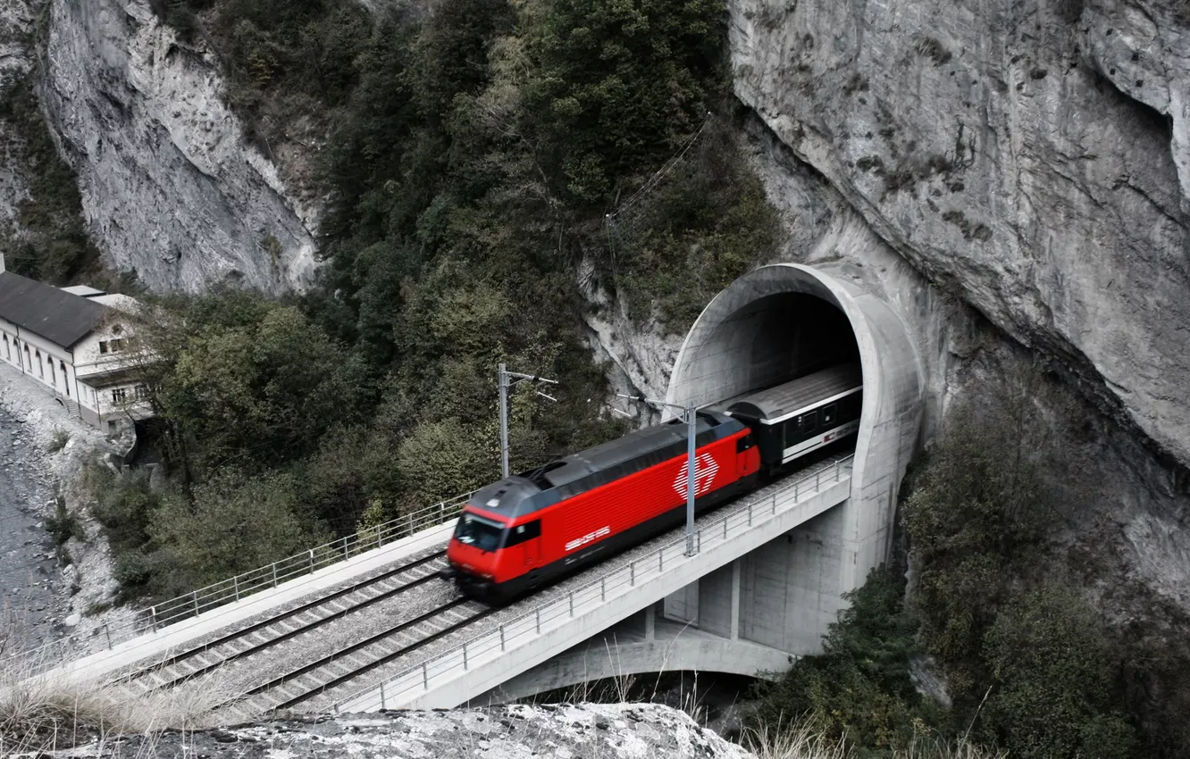 Photo wallpaper trees, rock, train, plants, railroad, the tunnel, rock, trees