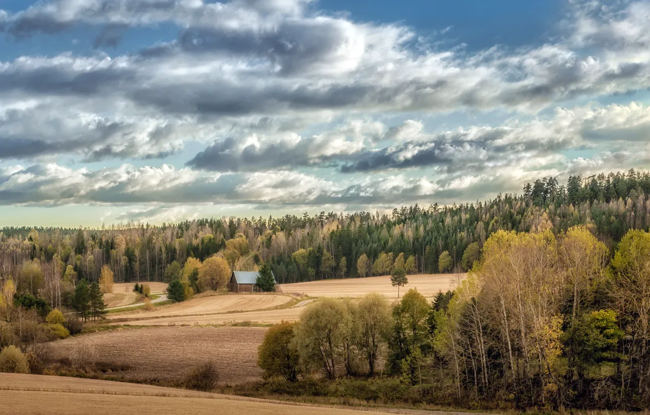 Photo wallpaper field, forest, house