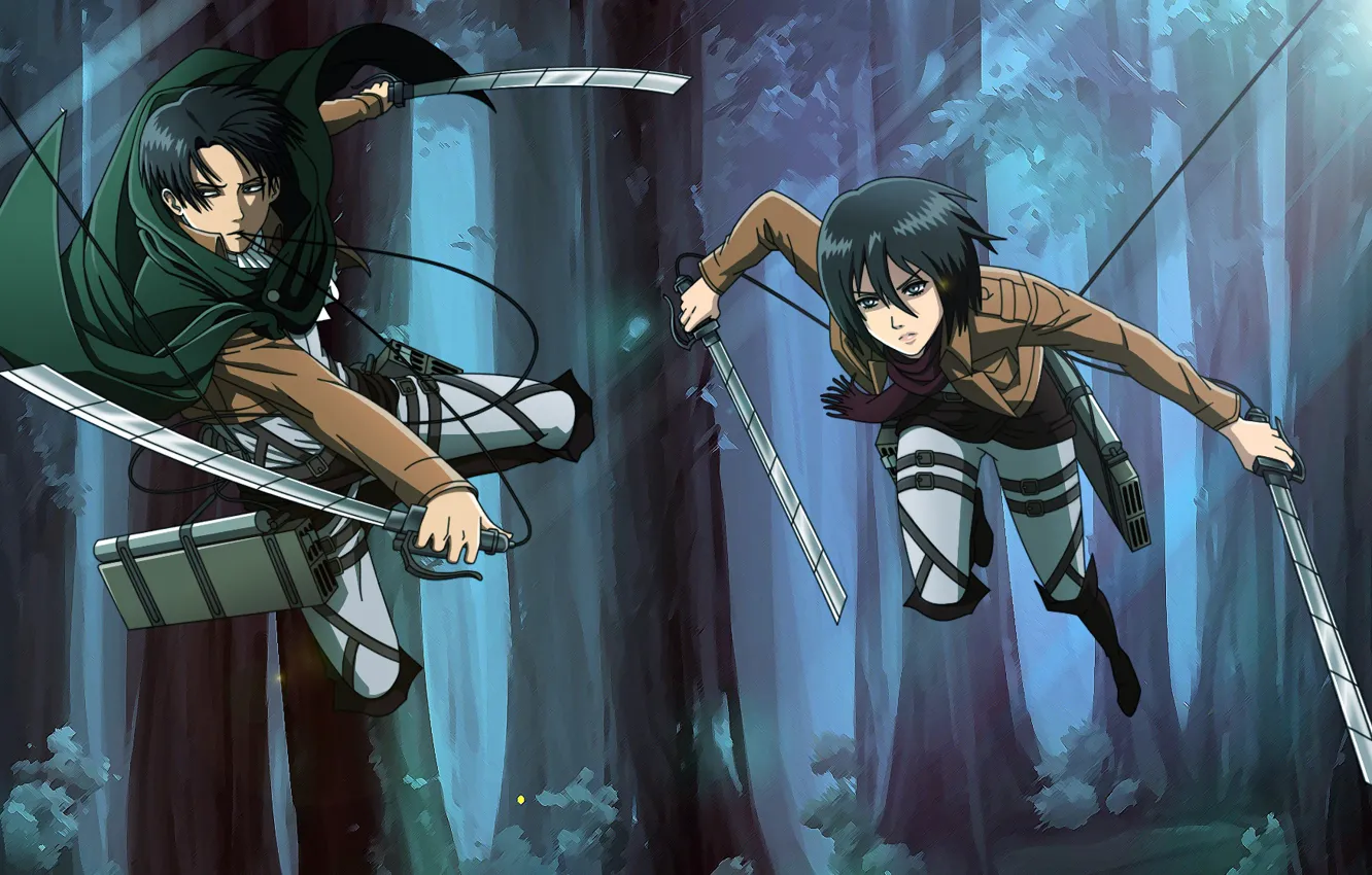 Photo wallpaper anime, art, Mikasa, Shingeki no Kyojin, Attack of the titans, The invasion of the giants, …