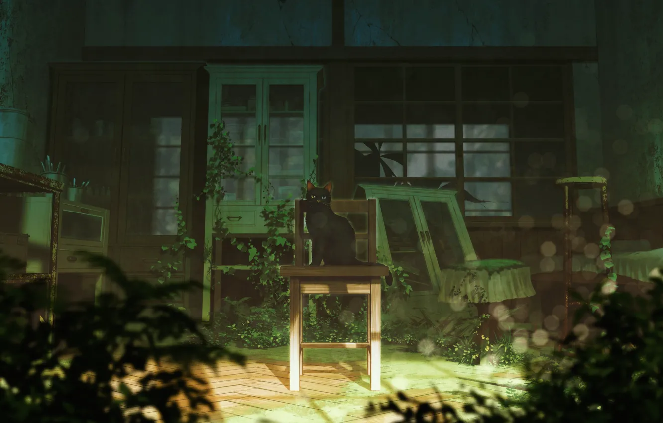 Photo wallpaper Look, Cat, Anime, Chair, Art, Abandoned house