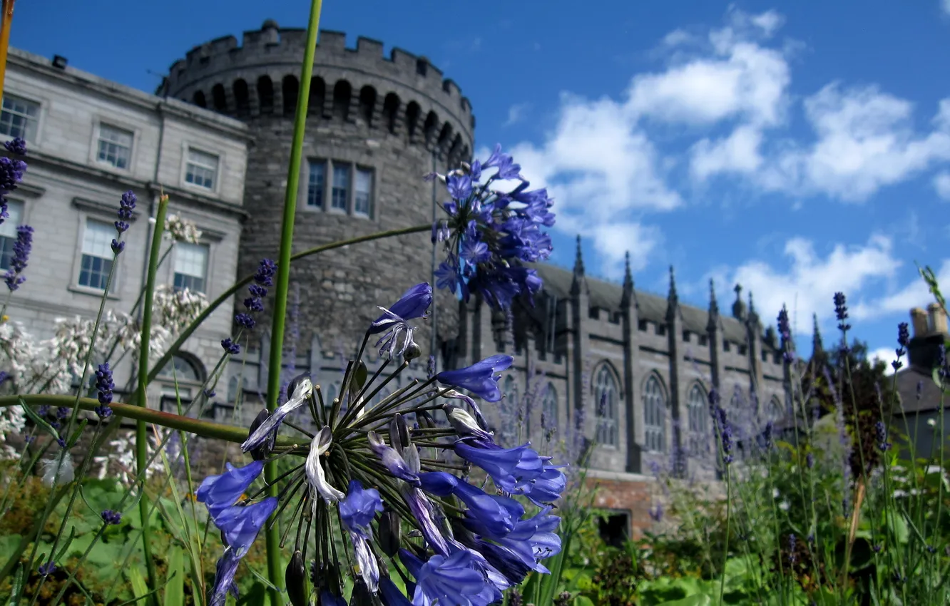 Photo wallpaper flowers, castle, garden, Garden, Canon SD880, Dublin Castle