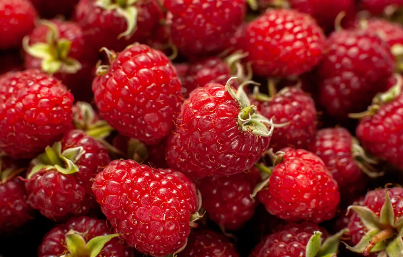 Photo wallpaper berries, raspberry, a lot