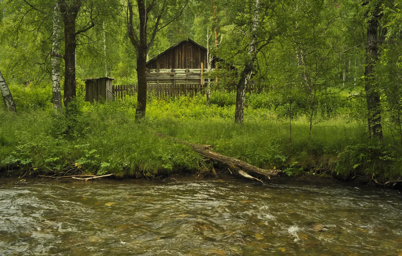 Photo wallpaper Greens, Grass, Forest, House, Grass, River