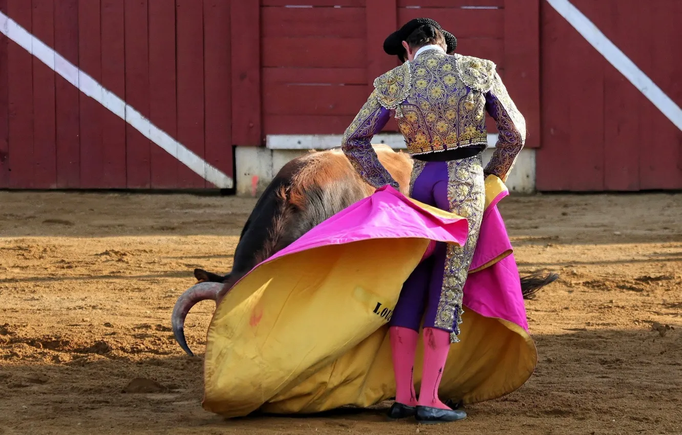 Photo wallpaper bull, Matador, Korea