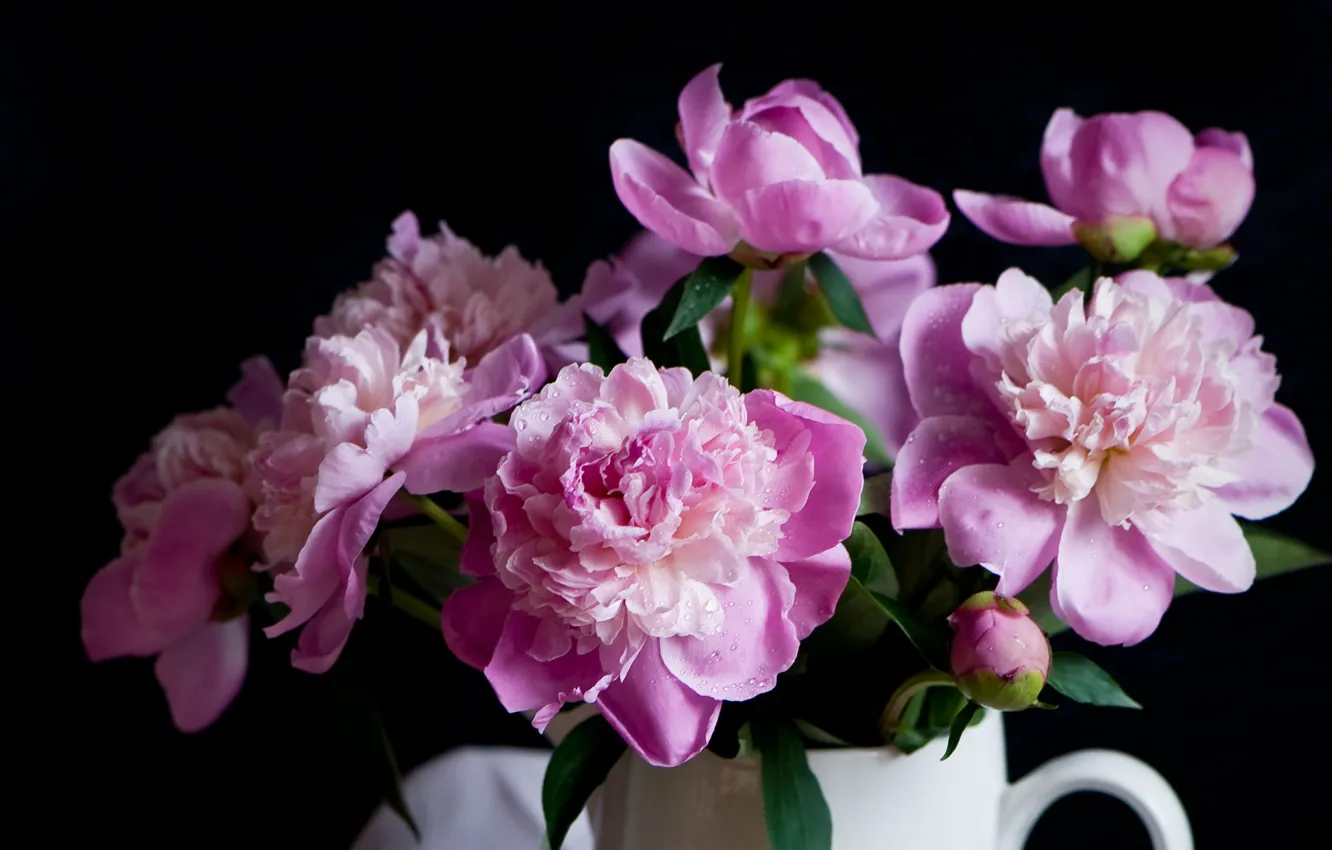 Photo wallpaper bouquet, pink, peonies