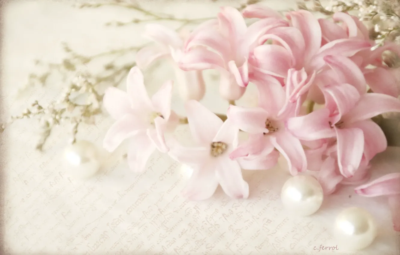 Photo wallpaper letter, petals, pink, beads, vintage, hyacinths