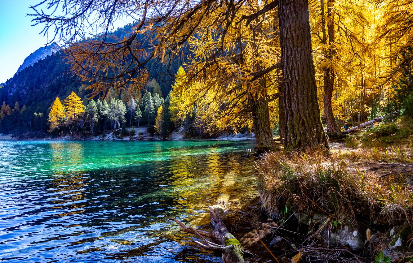 Photo wallpaper autumn, landscape, mountains, lake, Switzerland, Alps
