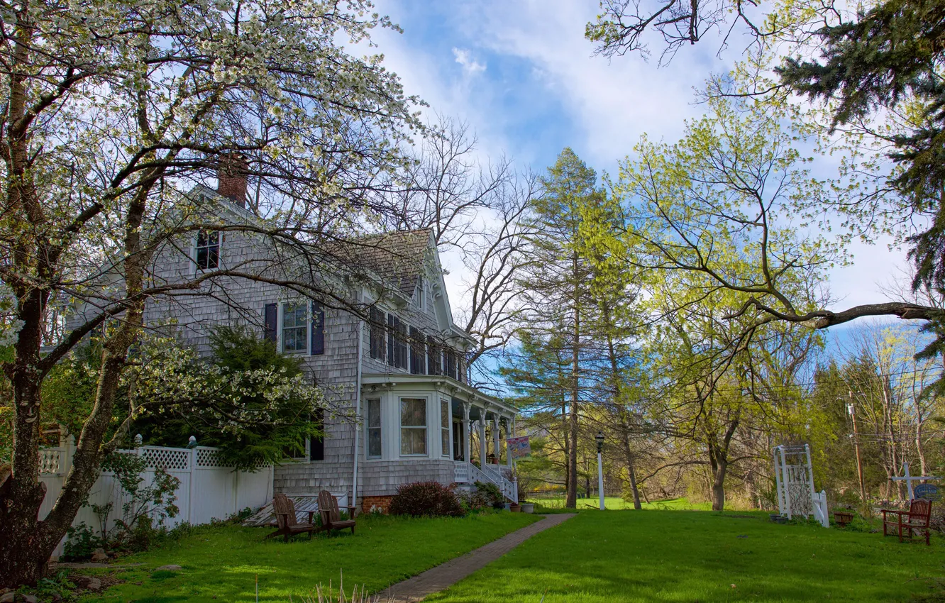 Photo wallpaper greens, the sky, grass, the sun, clouds, trees, Park, home