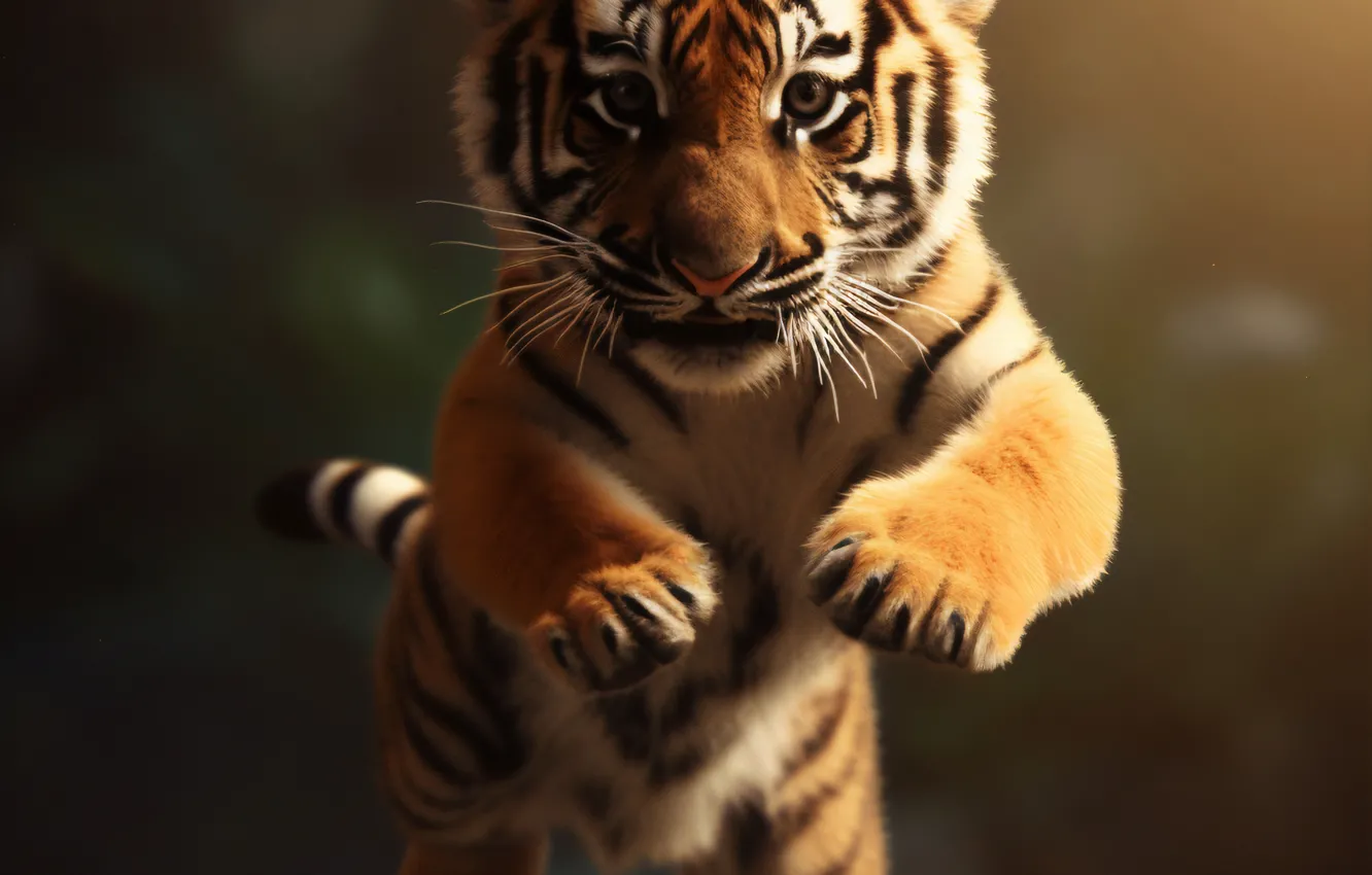 Photo wallpaper tiger, jump, tiger, digital art, AI art, The Art of Artificial Intelligence, neural network