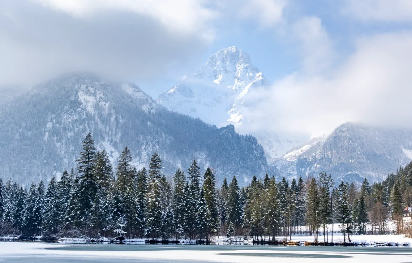 Photo wallpaper winter, forest, the sky, clouds, snow, mountains, fog, rocks