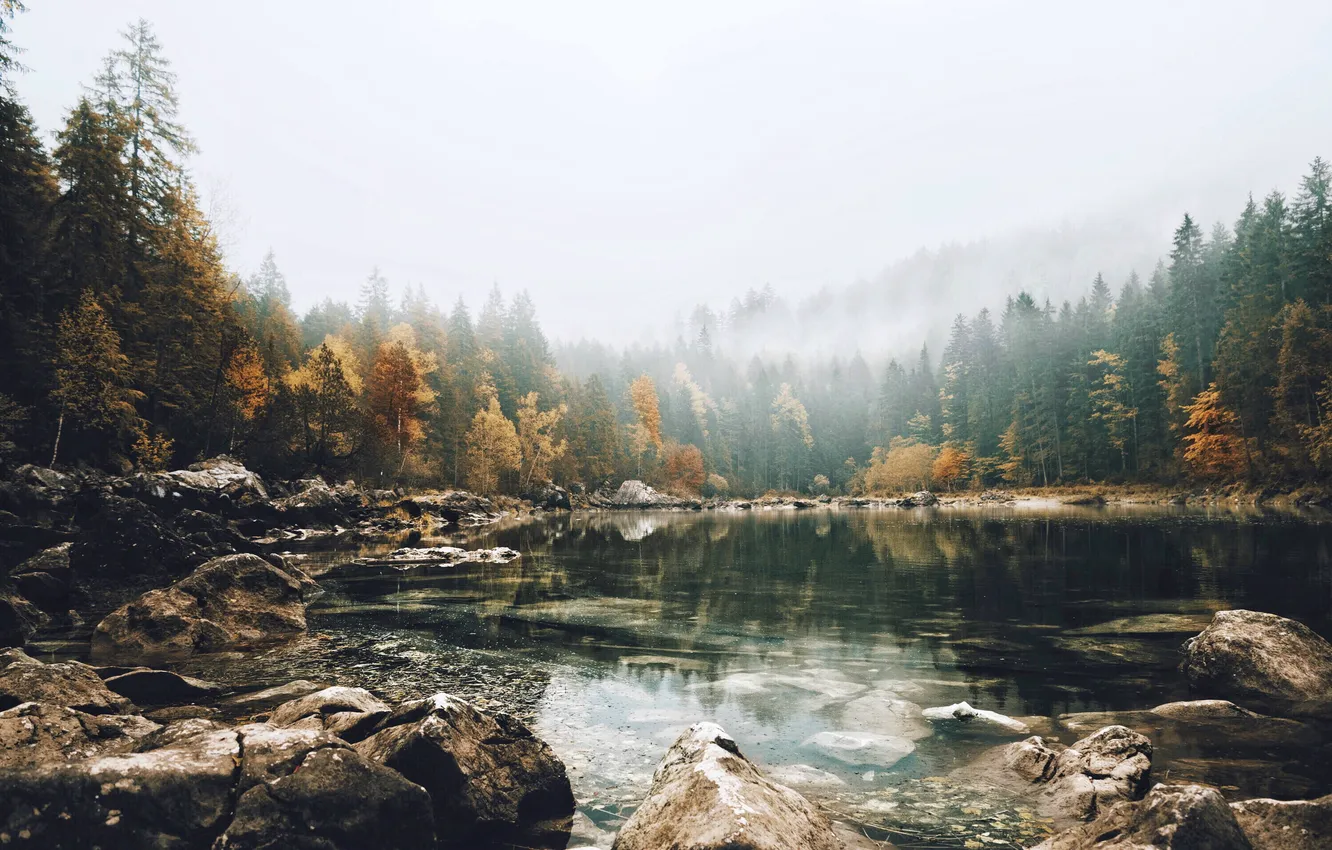 Photo wallpaper autumn, fog, lake