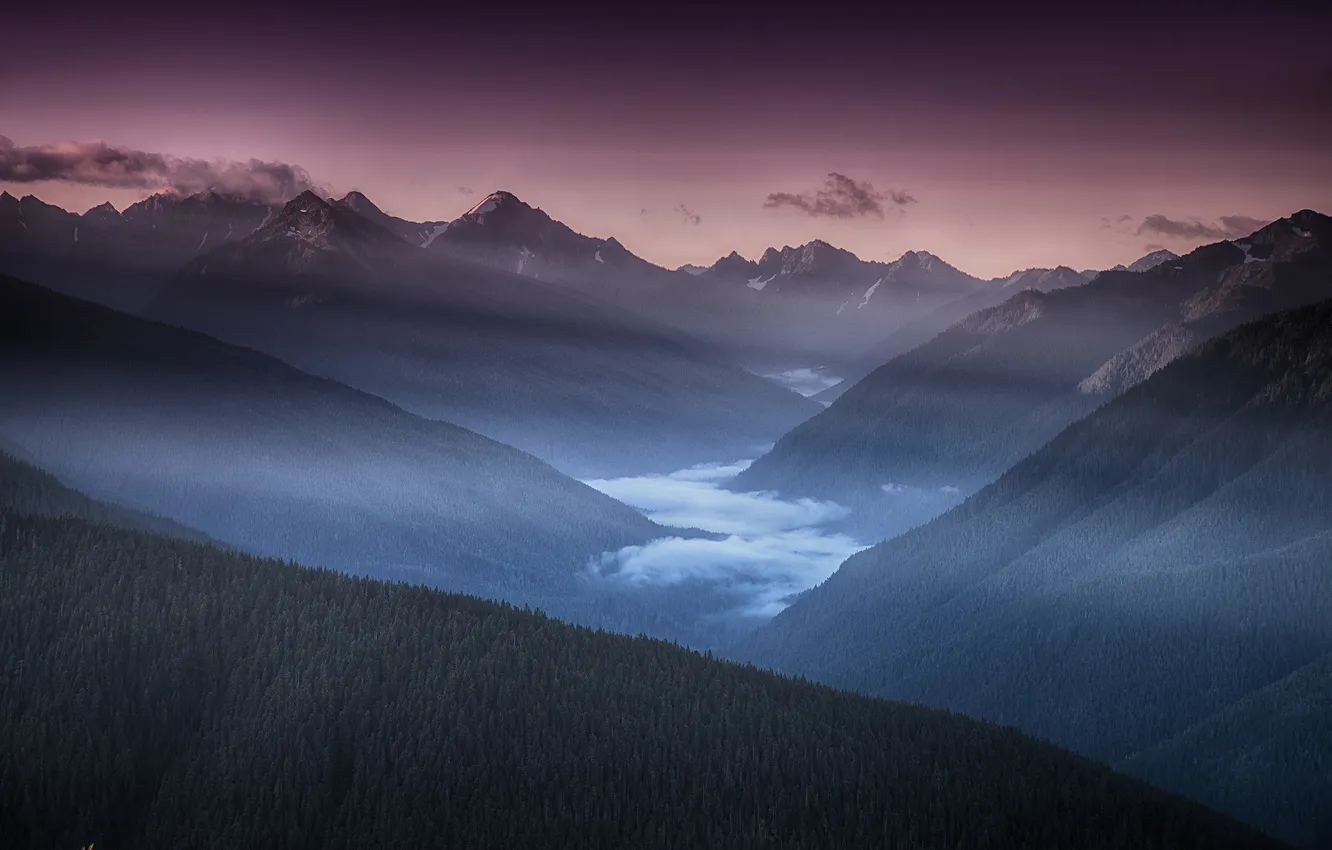 Photo wallpaper forest, clouds, landscape, mountains, valley, haze, gorge
