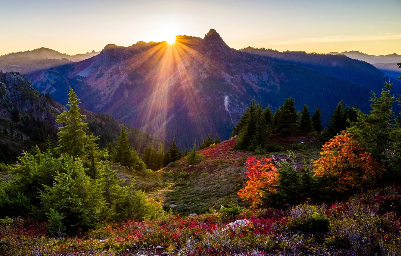 Photo wallpaper trees, sunset, mountains, USA, the rays of the sun, Washington State Park