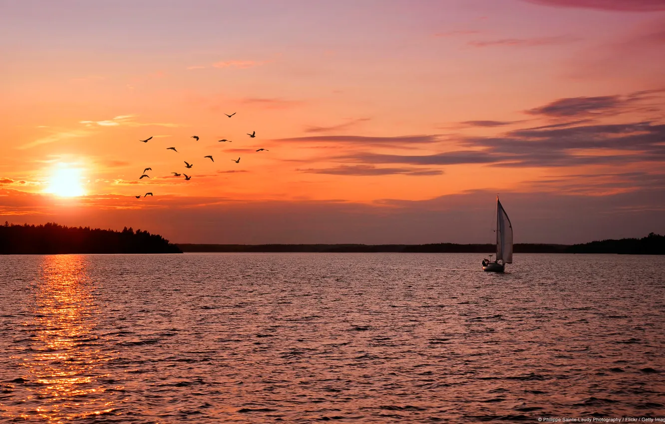 Photo wallpaper sea, the sky, sunset, lake, bird, sailboat