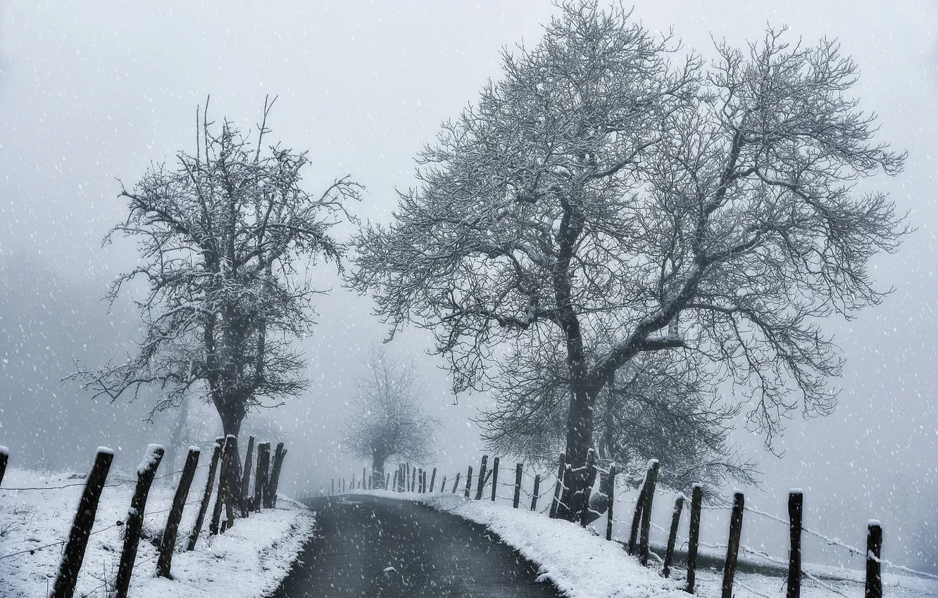 Photo wallpaper winter, road, white, snow, trees, branches, black, fence