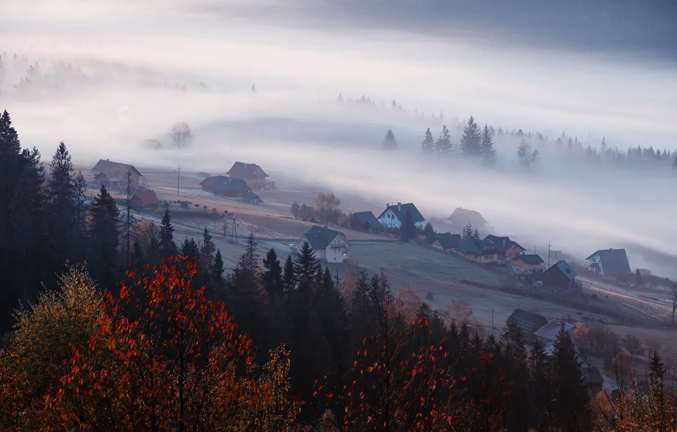 Photo wallpaper autumn, forest, mountains, fog, foliage, morning, ate, slope