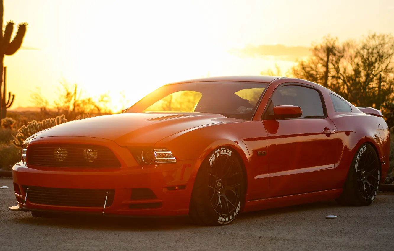 Photo wallpaper Mustang, Ford, GTR, Mustang, Red