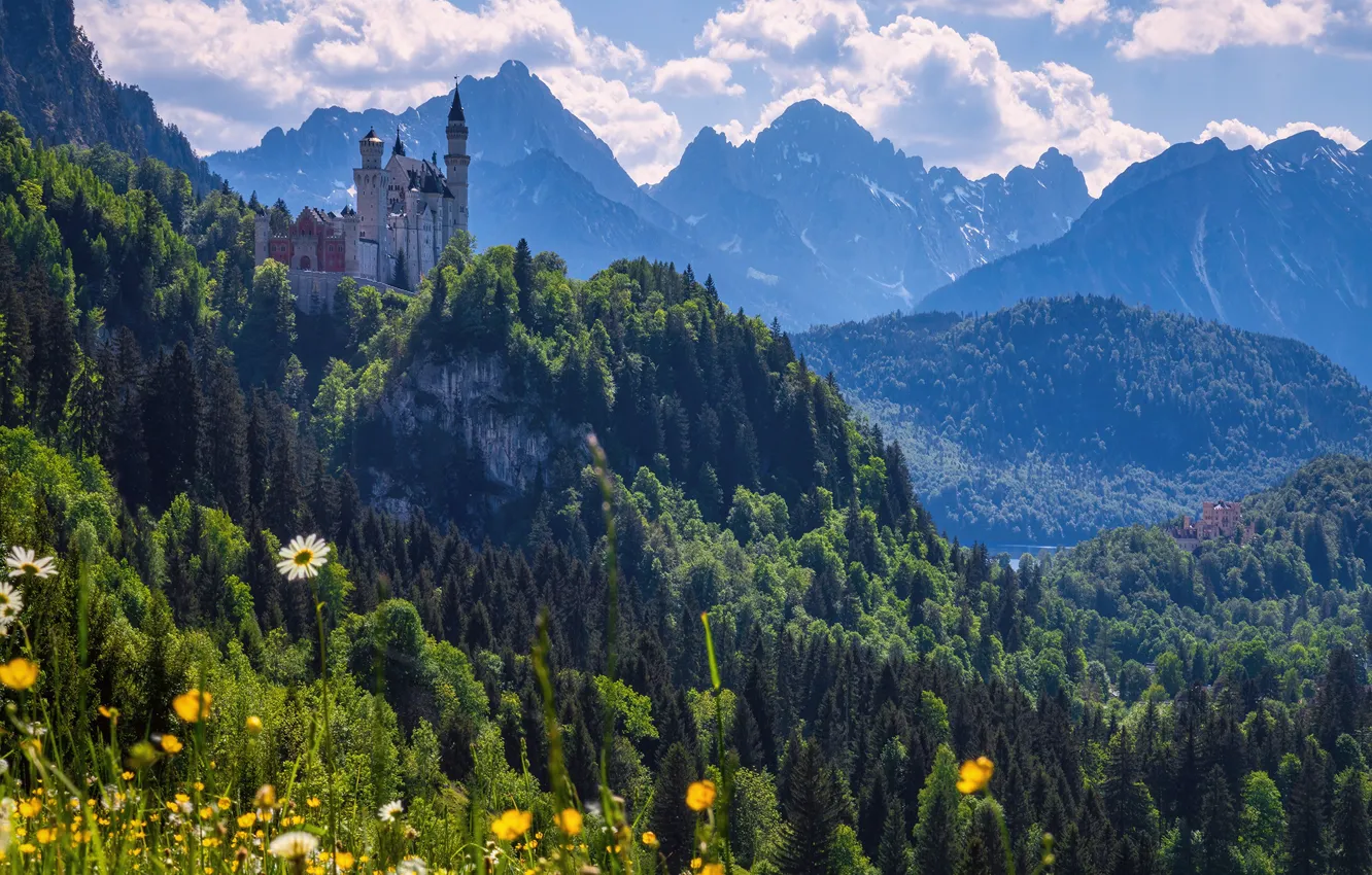 Photo wallpaper forest, flowers, mountains, castle, Germany, Bayern, Germany, Bavaria