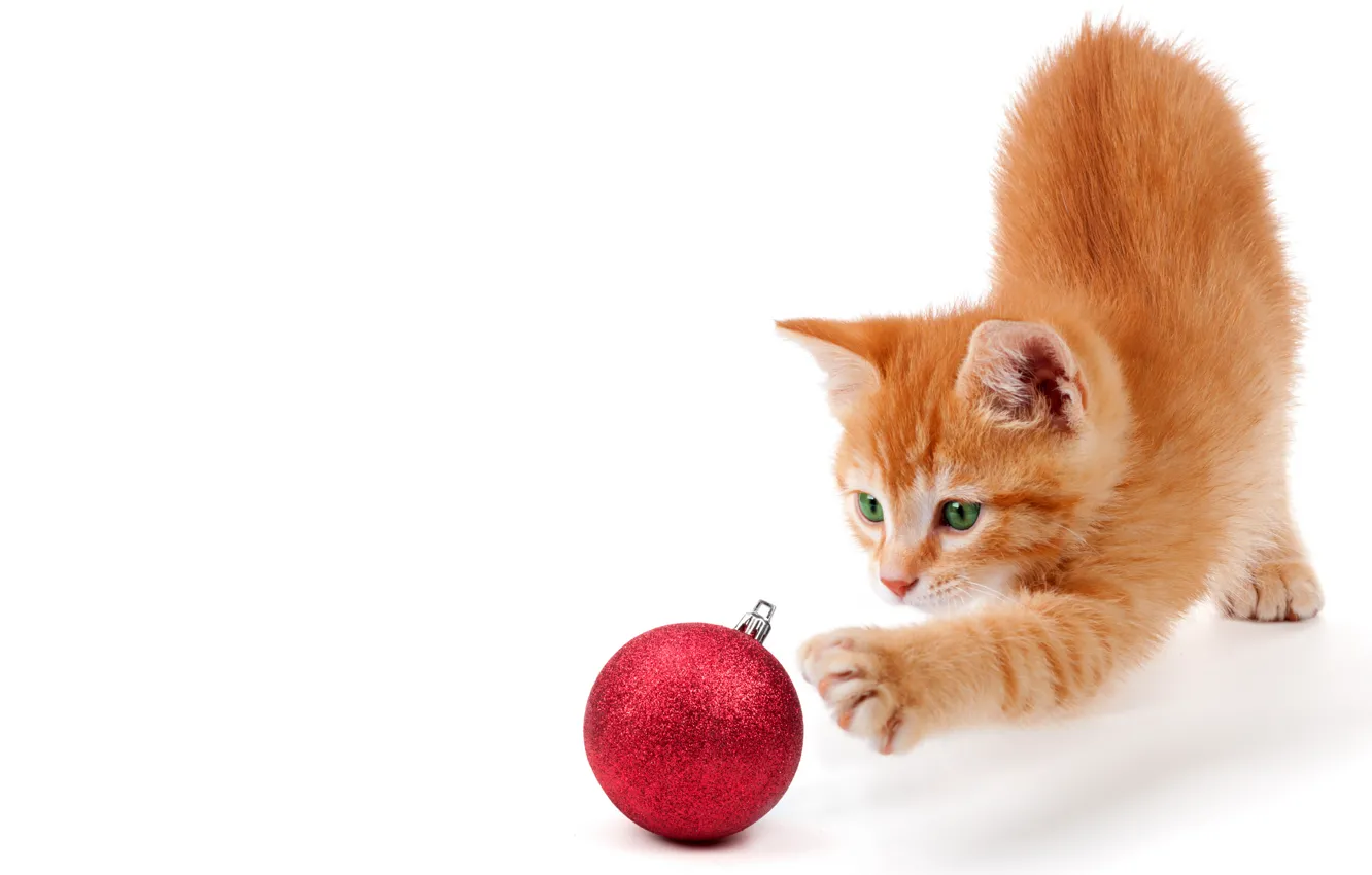 Photo wallpaper cat, balls, red, animal, holiday, new year, white background, red