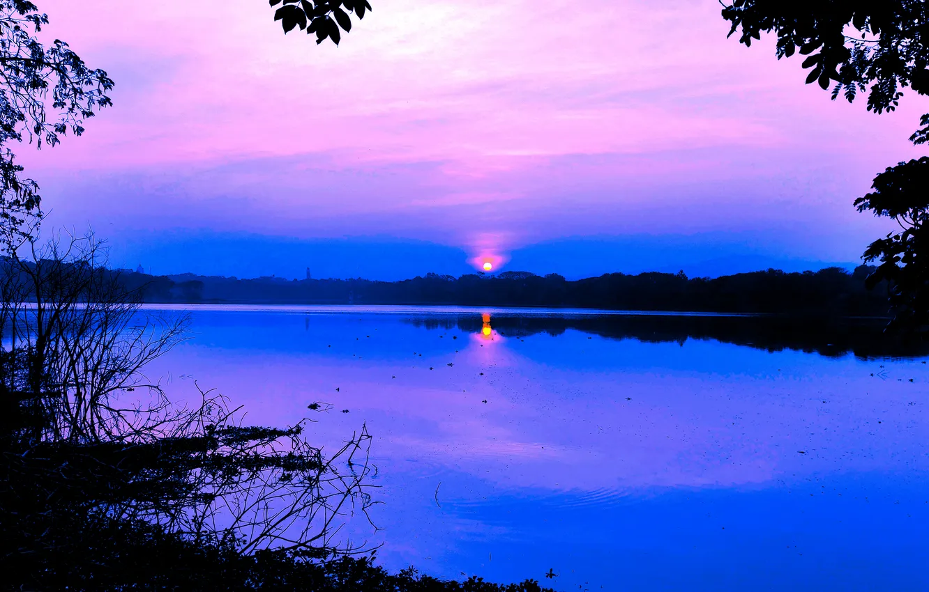 Photo wallpaper trees, water, lake, morning, sun, sunrise, dawn, woods