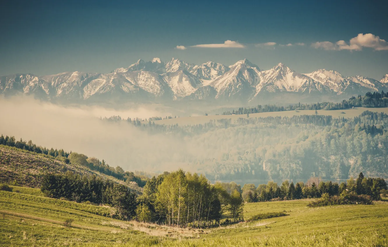 Photo wallpaper mountains, nature, Tatras