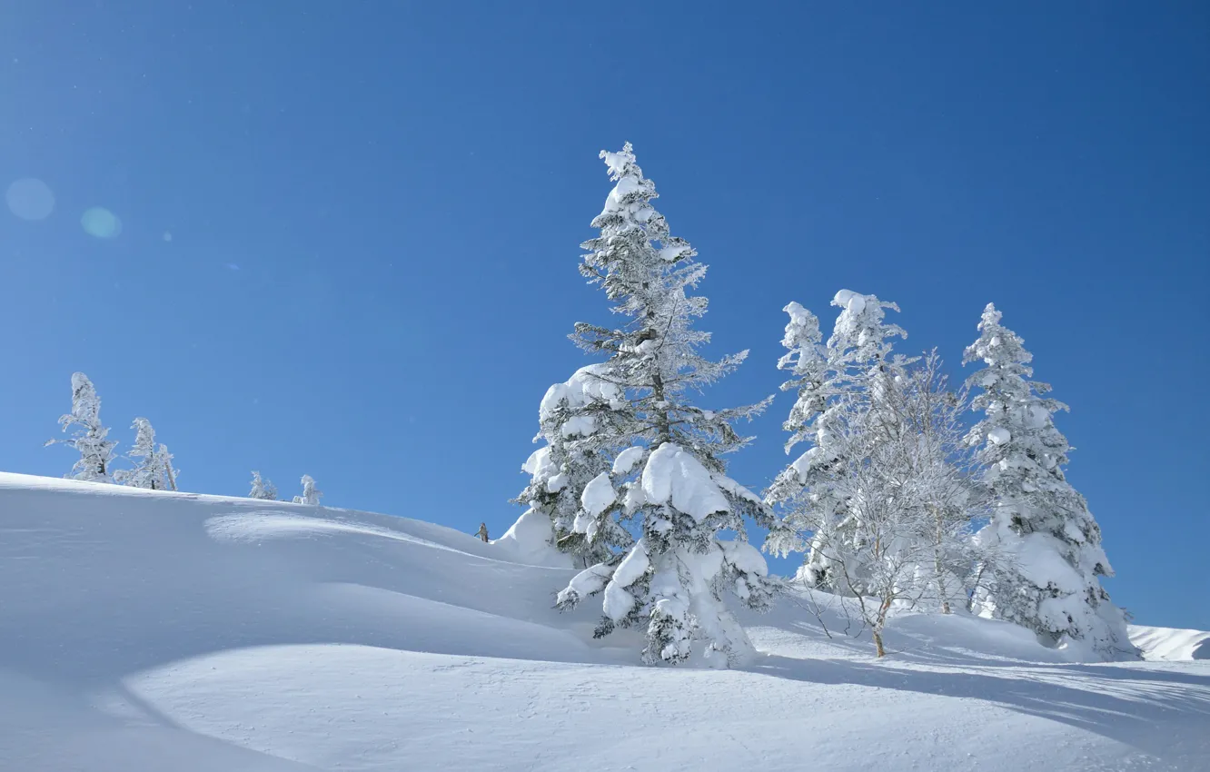 Photo wallpaper winter, the sky, snow, trees, Japan, the snow, Japan, Yatsugatake Mountains