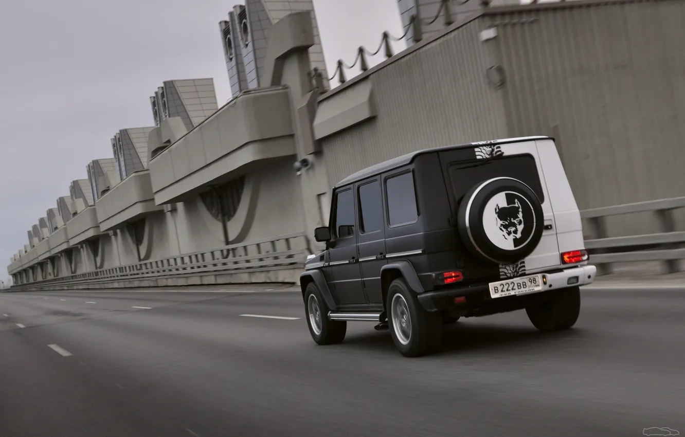 Photo wallpaper Mercedes-Benz, dog, Gaelic