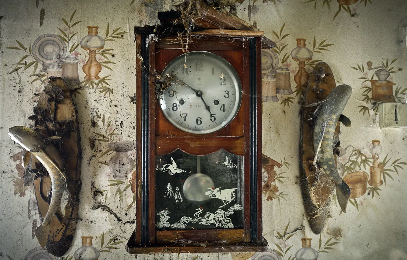 Photo wallpaper time, watch, web